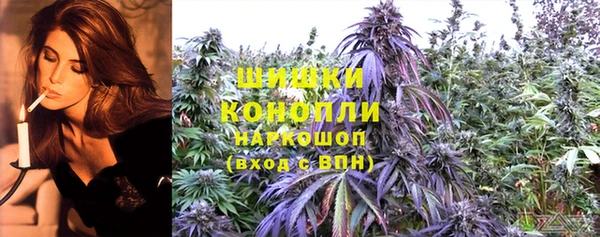 ПСИЛОЦИБИНОВЫЕ ГРИБЫ Арсеньев
