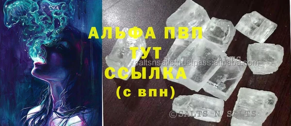 ПСИЛОЦИБИНОВЫЕ ГРИБЫ Арсеньев
