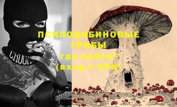 ПСИЛОЦИБИНОВЫЕ ГРИБЫ Арсеньев