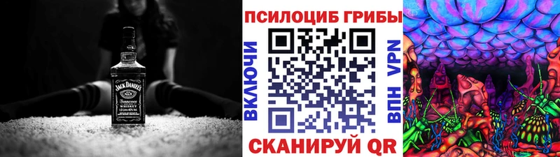 мега как войти  Правдинск  сайты даркнета состав  Галлюциногенные грибы GOLDEN TEACHER 